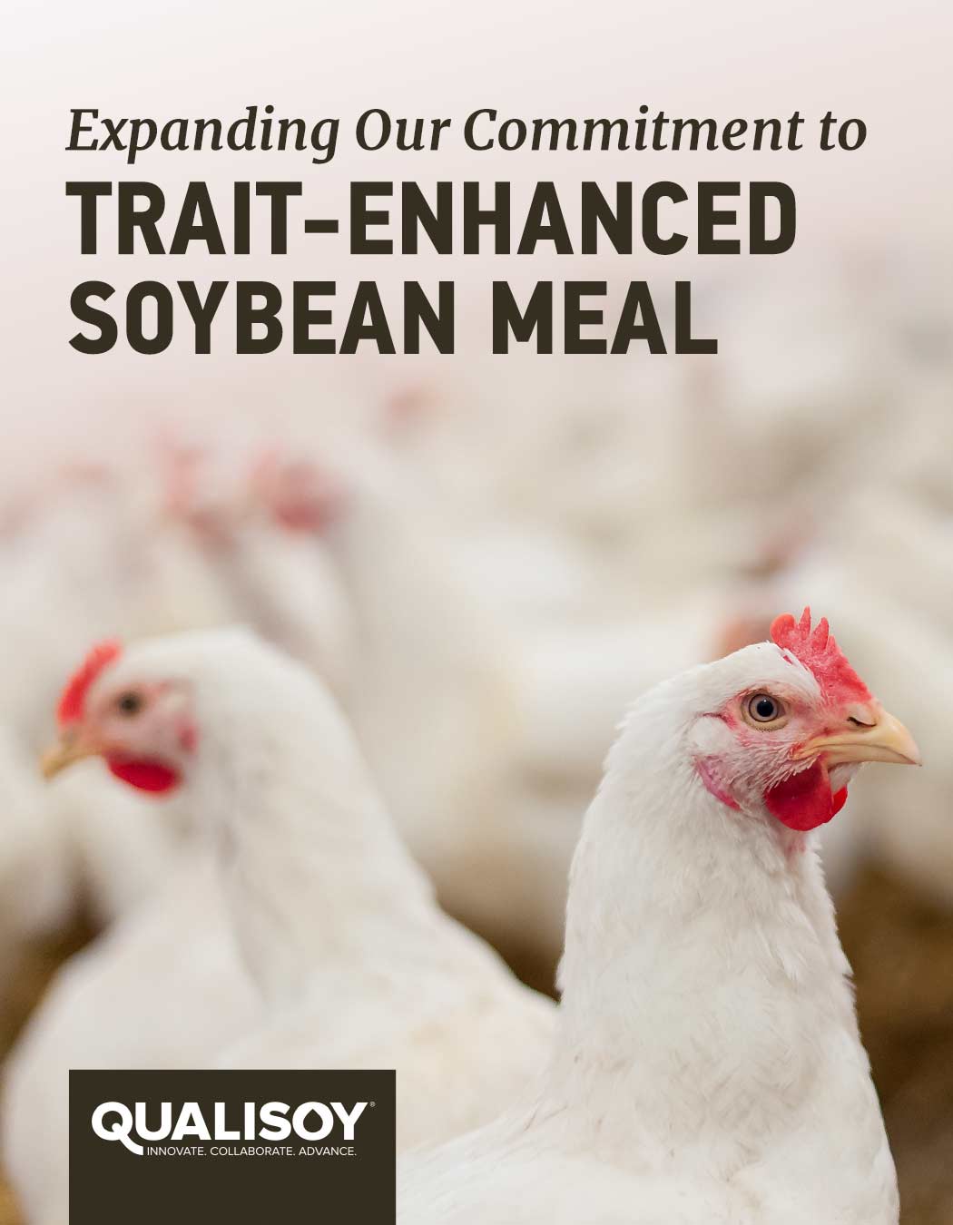 Expanding Our Commitment to Trait-Enhanced Soybean Meal